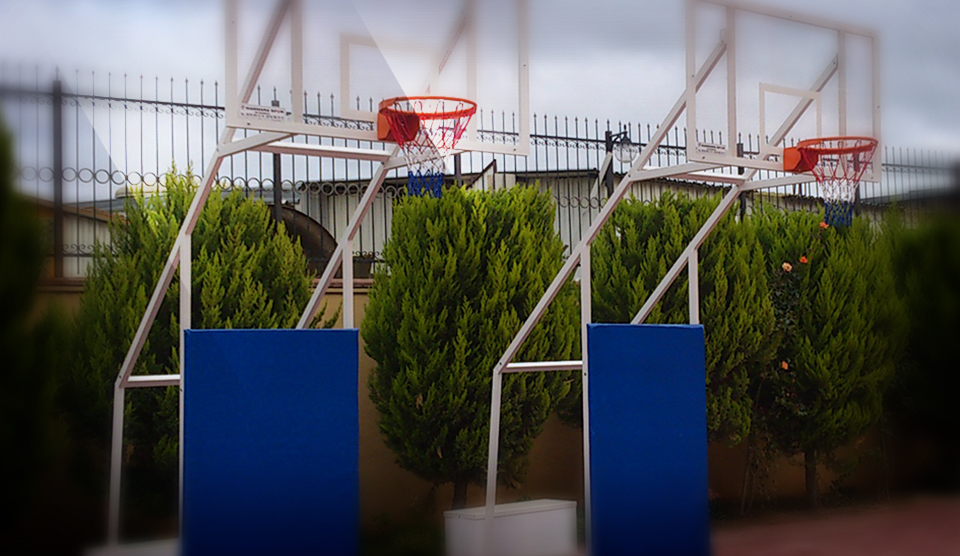 Dört Ayaklı Basketbol Potaları